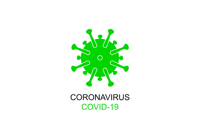 coronavirus 5062518 640